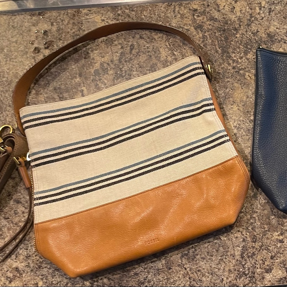 Fossil Purse Collection